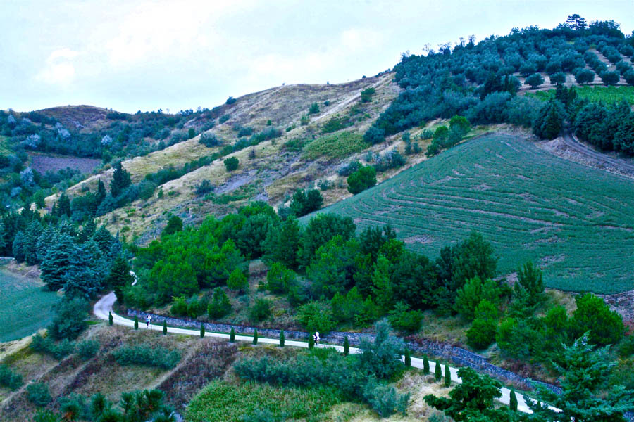 Brisighella Il sentiero che collega la Rocca alla Torre dell'Orologio © Fiorenza Cicogna