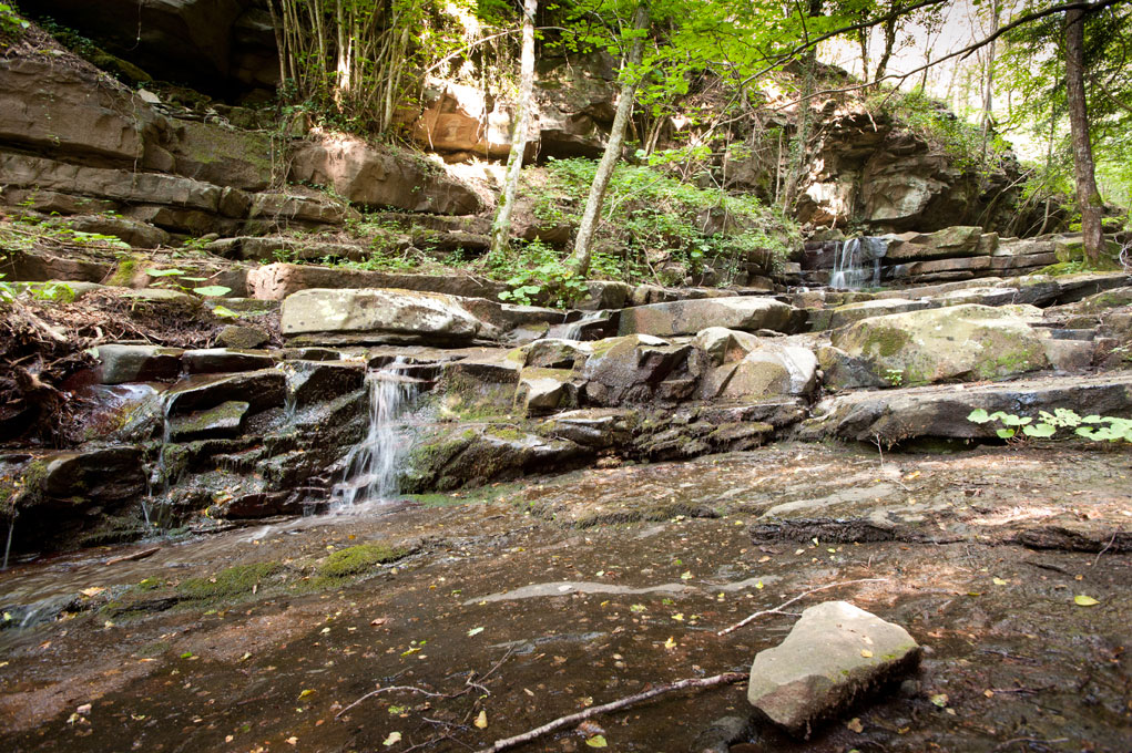 Vallombrosa Lungo il sentiero verso il Paradisino © Fabrizio Ardito