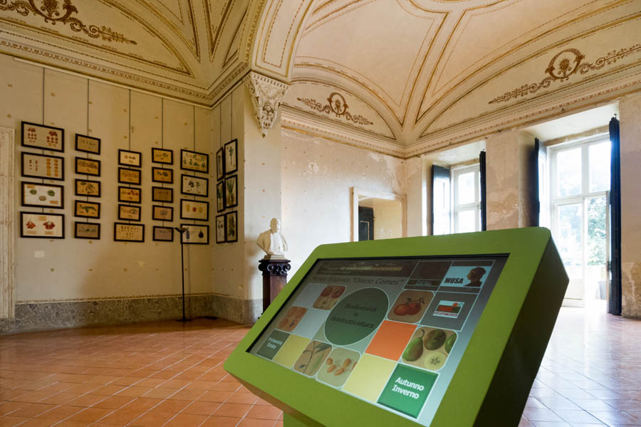 Portici Il Museo botanico Orazio Comes ospitato all'interno della Reggia © Natalino Russo