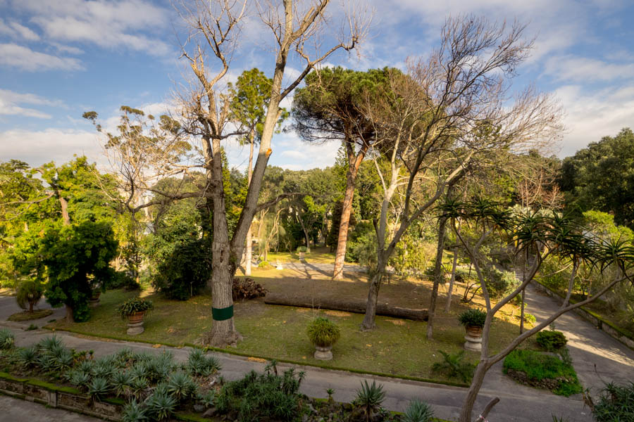 Portici Palazzo Reale, l'affaccio sul bosco © Natalino Russo