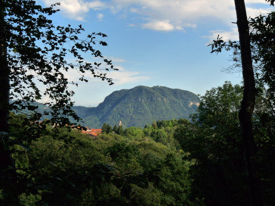 Monte Fenera Panorama © Archivio Ente di Gestione delle Aree Protette della Valle Sesia