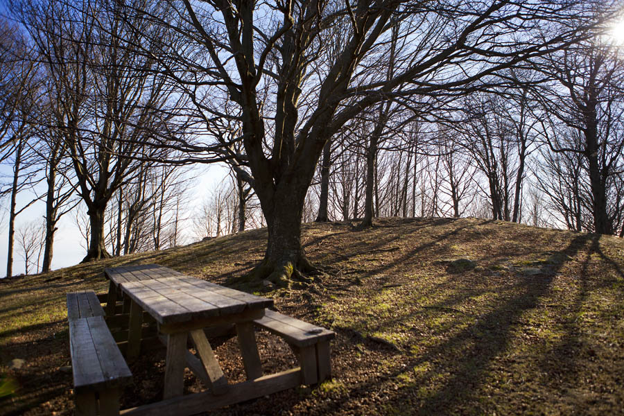 Monte Beigua Monte Beigua. Prato Rotondo © Fiorenza Cicogna