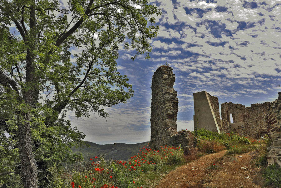 Cairo Montenotte I ruderi del Castello © Silvano Baccino