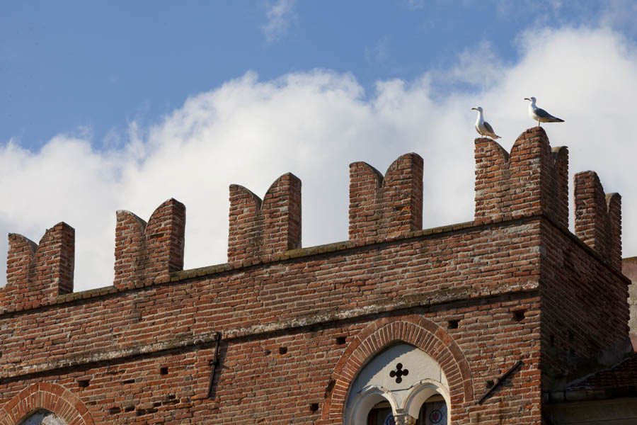 Noli Casa Pagliano © Fiorenza Cicogna