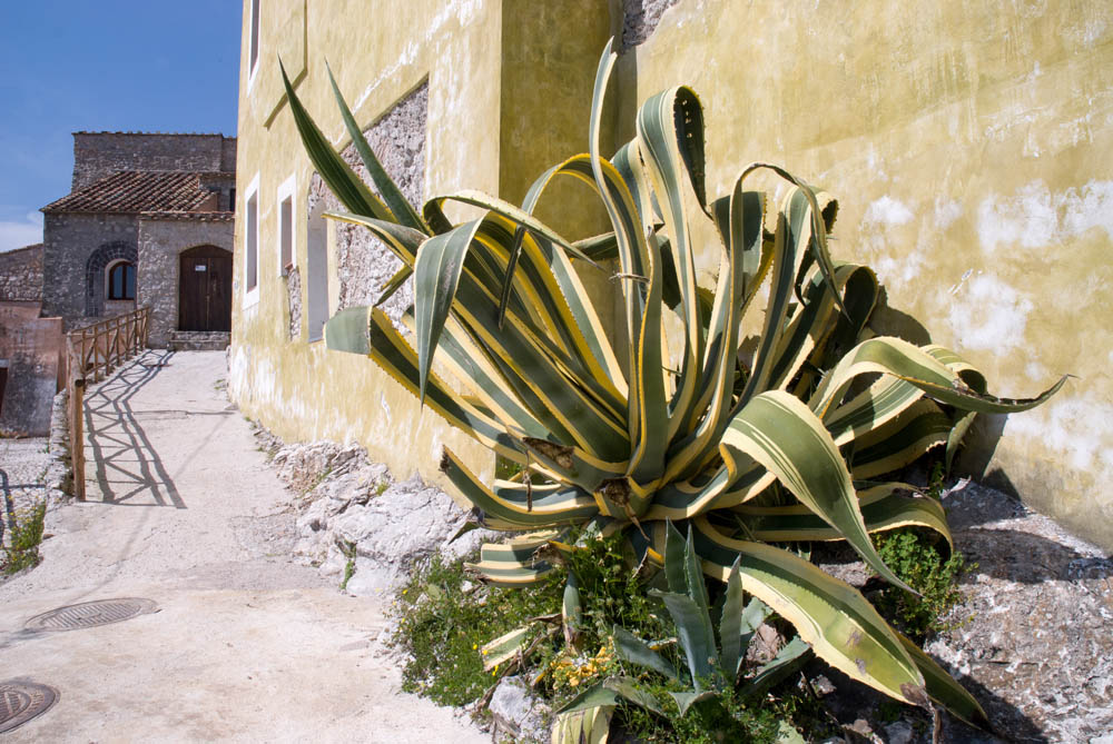 Giffoni Valle Piana Nel borgo di Terravecchia © Natalino Russo