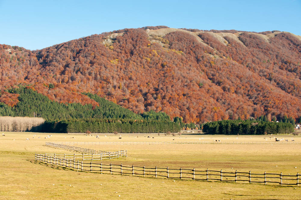 Bagnoli Irpino La conca di Laceno © Natalino Russo