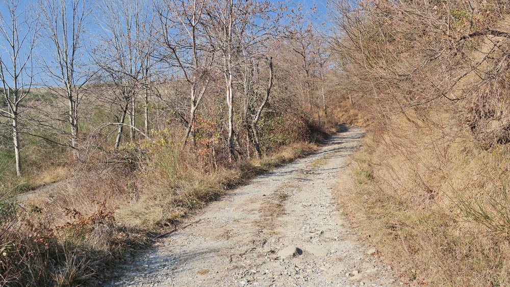 Grizzana Morandi Una strada di campagna © William Dello Russo