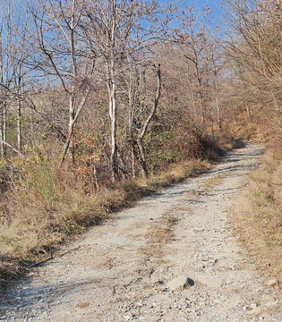 Grizzana Morandi Una strada di campagna © William Dello Russo