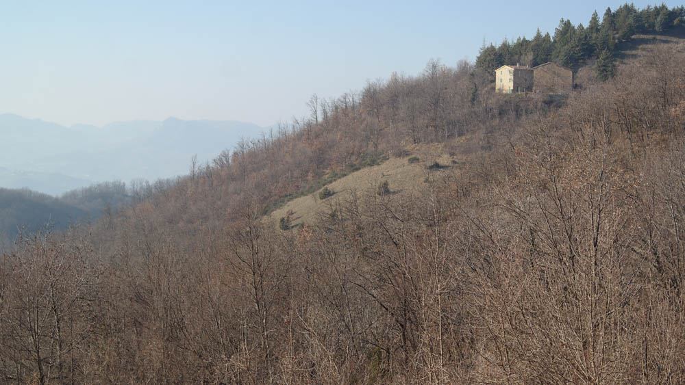 Grizzana Morandi Case rurali sulle colline intorno al borgo © William Dello Russo