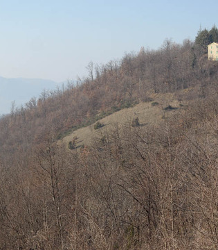 Grizzana Morandi Case rurali sulle colline intorno al borgo © William Dello Russo