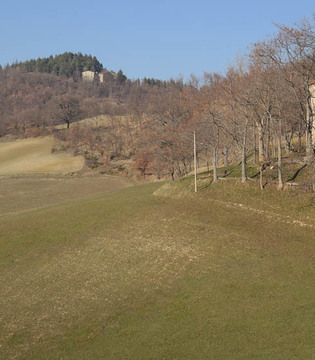Grizzana Morandi Case di Campoluzzo © William Dello Russo