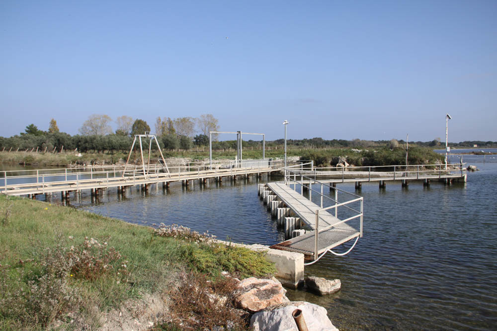 Laguna di Lesina Lavoriero al canale Acquarotta © Centro Visite Lesina. Foto Giovanni Di Mauro