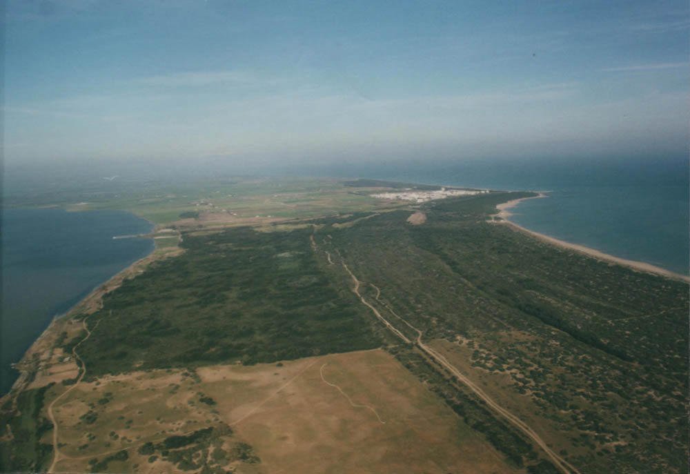 Laguna di Lesina Bosco Isola © Centro Visite Lesina. Foto Giovanni Di Mauro