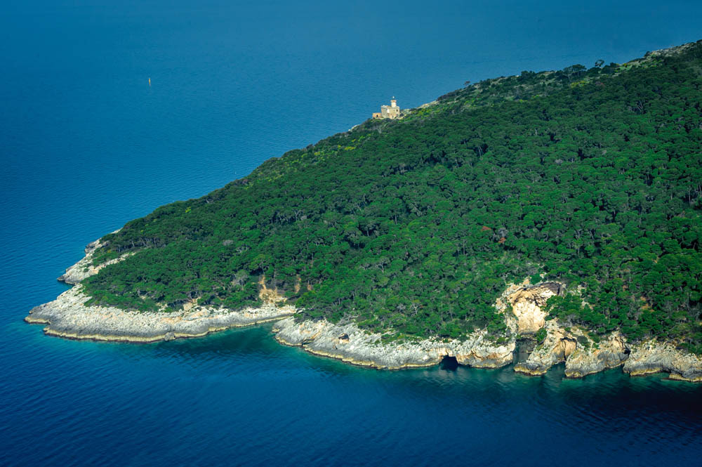 Isole Tremiti San Domino dall'alto © Viaggiareinpuglia.it. - Vanda Biffani