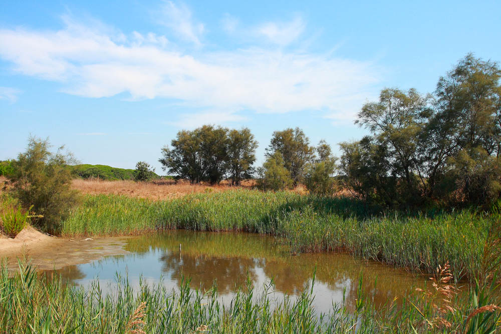 Oasi WWF di Macchiagrande © Francesco Marcone