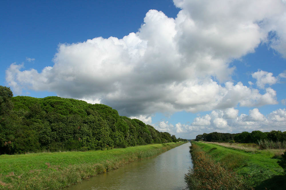 Oasi WWF di Macchiagrande © Francesco Marcone