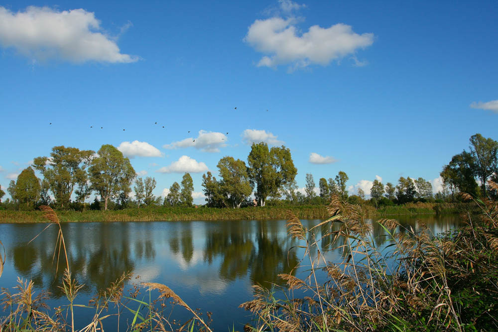 Oasi WWF delle Vasche di Maccarese © Francesco Marcone