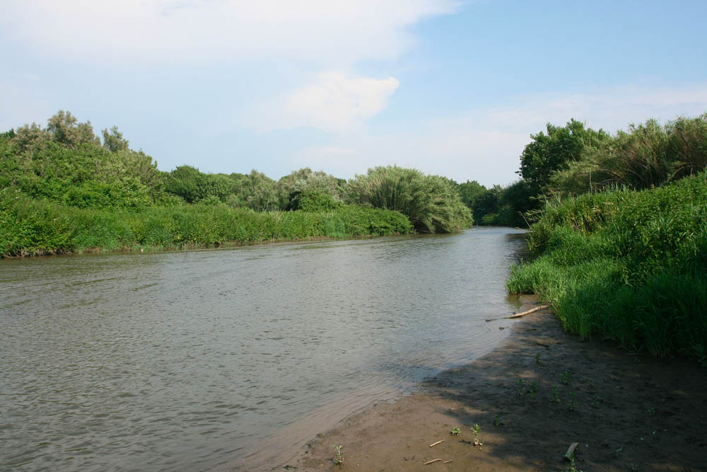 Oasi WWF Bosco foce dell'Arrone © Francesco Marcone