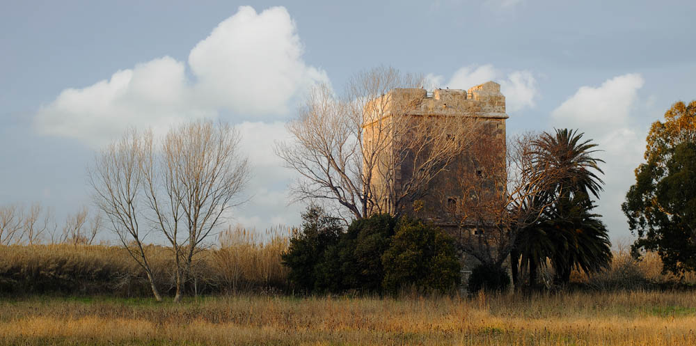 Torre Primavera © Maccarese Spa