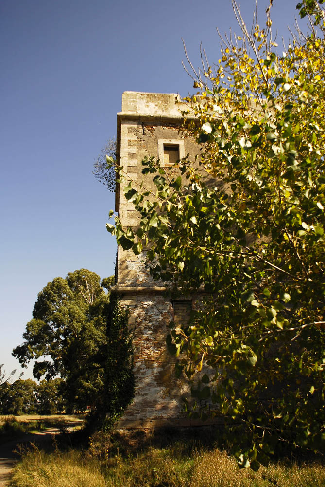 Torre Primavera © Maccarese Spa