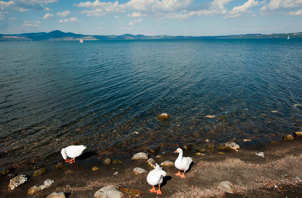 Vigna di Valle. Il Museo del volo Il lago di Bracciano © Fabrizio Ardito