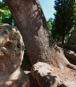 Cerveteri necropoli della Banditaccia © Fabrizio Ardito