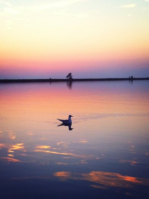 Delta del Po Giro delle Valli © Ilaria Santi