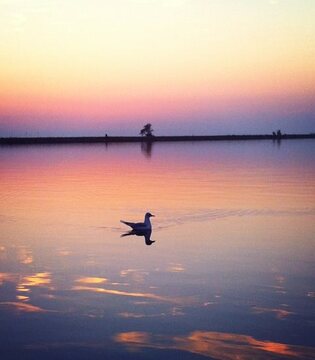 Delta del Po Giro delle Valli © Ilaria Santi