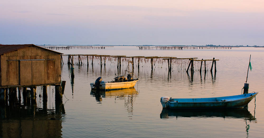 Delta del Po Lungo il fiume, Porto Tolle © Luigi Prearo CC BY-SA