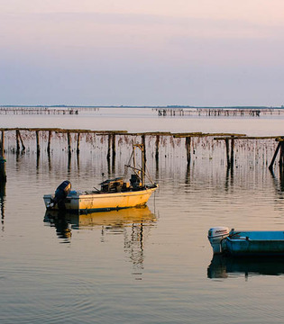 Delta del Po Lungo il fiume, Porto Tolle © Luigi Prearo CC BY-SA