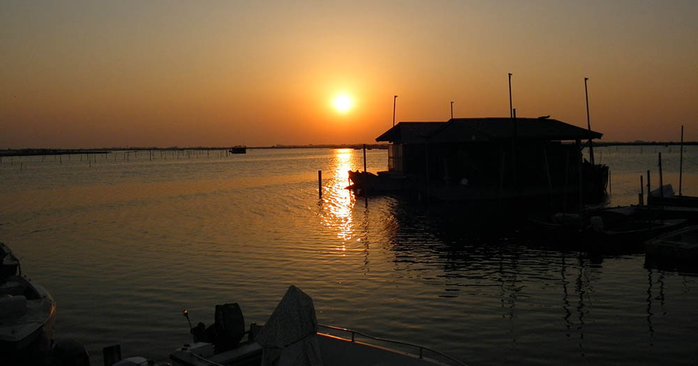 Delta del Po Rosolina © Vipera CC BY