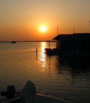 Delta del Po Rosolina © Vipera CC BY