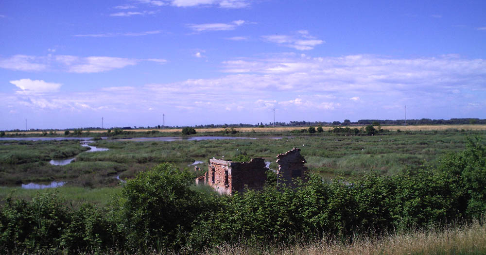Delta del Po Rosolina © Vipera CC BY