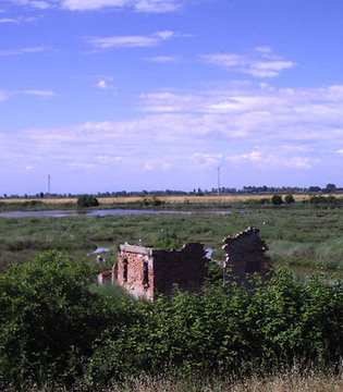 Delta del Po Rosolina © Vipera CC BY