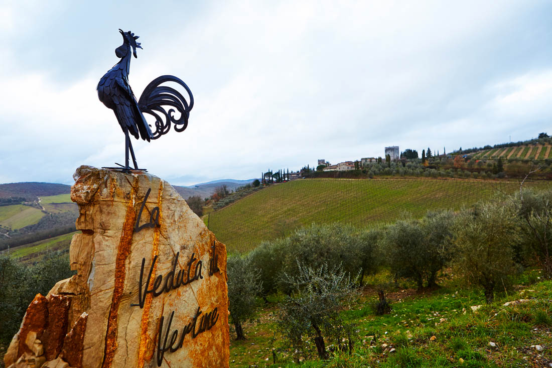 Vertine Veduta di Vertine tra i vigneti e gli ulivi del Chianti ©Fiorenza Cicogna