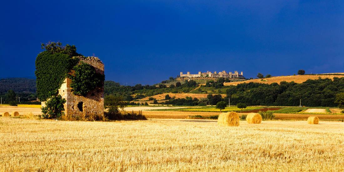 Monteriggioni Campi di grano ©A. Migliorini