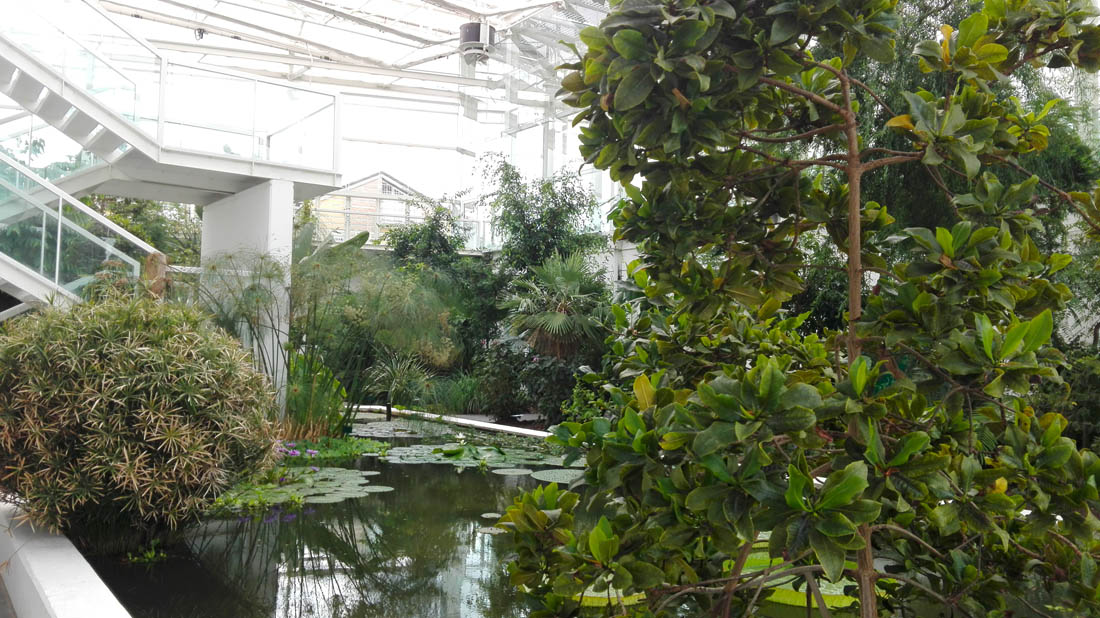 Padova Il Giardino della Biodiversità (interno) © Valeria Cappelli