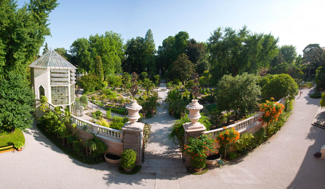 Padova Veduta panoramica dell'orto antico © Massimo Pistore