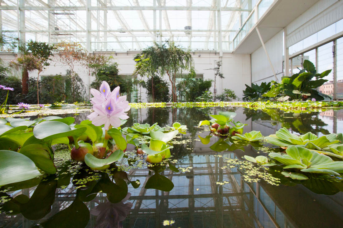 Padova La vasca tropicale nel Giardino della Biodiversità © Massimo Pistore