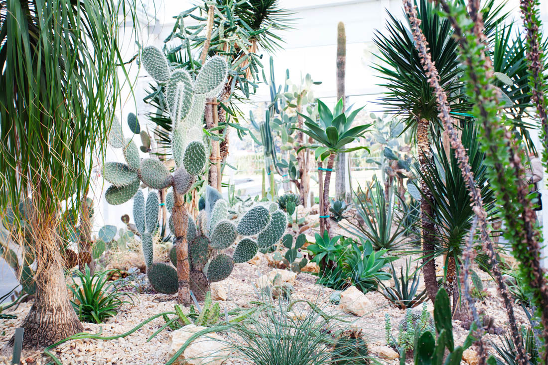 Padova La serra arida nel Giardino della Biodiversità © Massimo Pistore