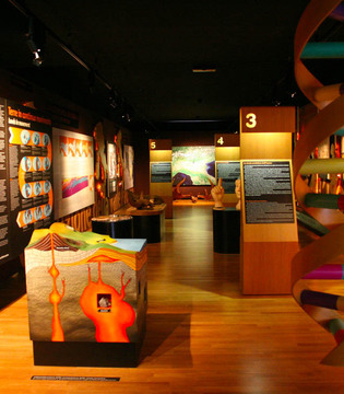 Basso Ferrarese Museo del Territorio di Ostellato: interno © Archivio fotografico Provincia di Ferrara