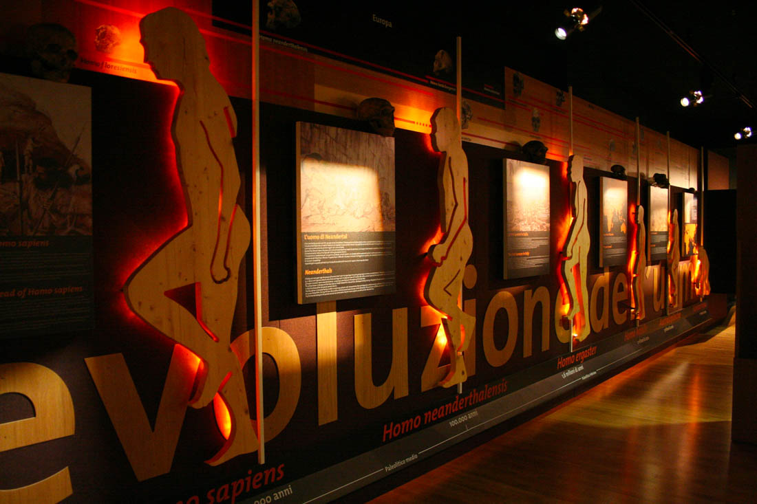 Basso Ferrarese Museo del Territorio di Ostellato: interno © Archivio fotografico Provincia di Ferrara