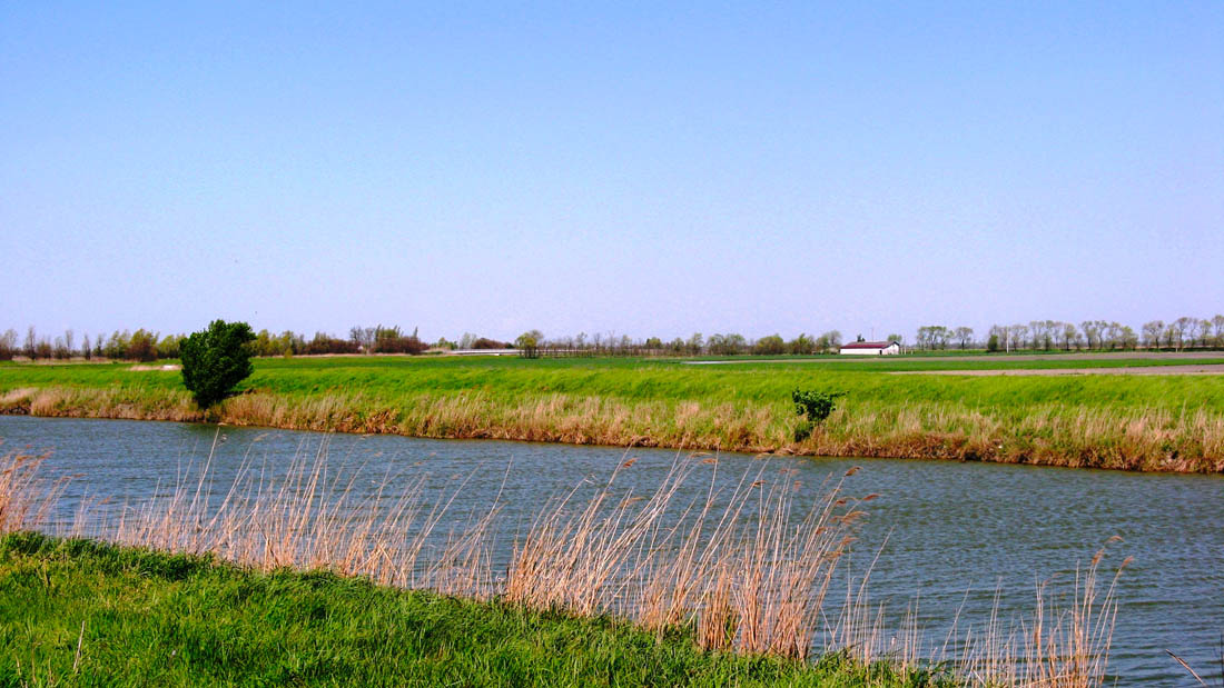Basso Ferrarese Oasi delle Vallette di Ostellato: panorama © Archivio fotografico Provincia di Ferrara