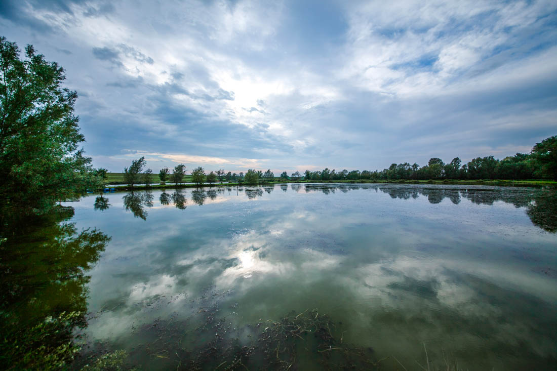 Basso Ferrarese Oasi delle Vallette di Ostellato: panorama © C. Diederick, M. Casarola - Archivio fotografico Provincia di Ferrara