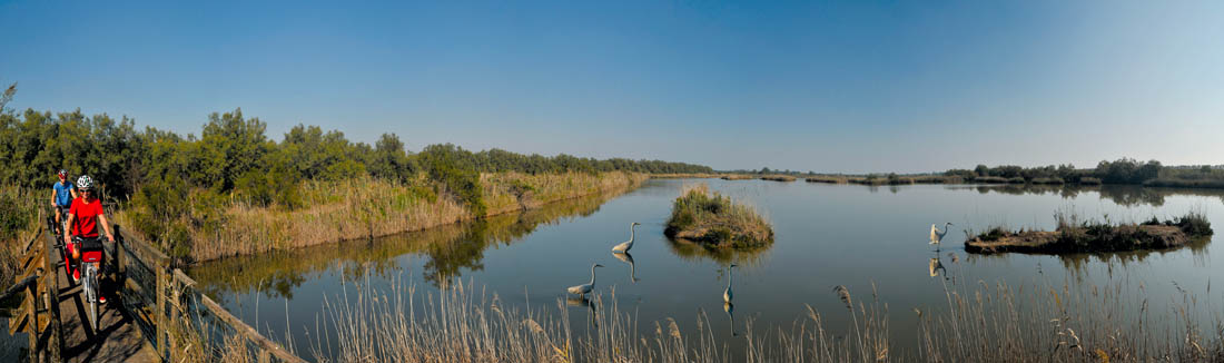 Basso Ferrarese Oasi di Canneviè: panorama © Luca Beretta - Archivio fotografico della Provincia di Ferrara