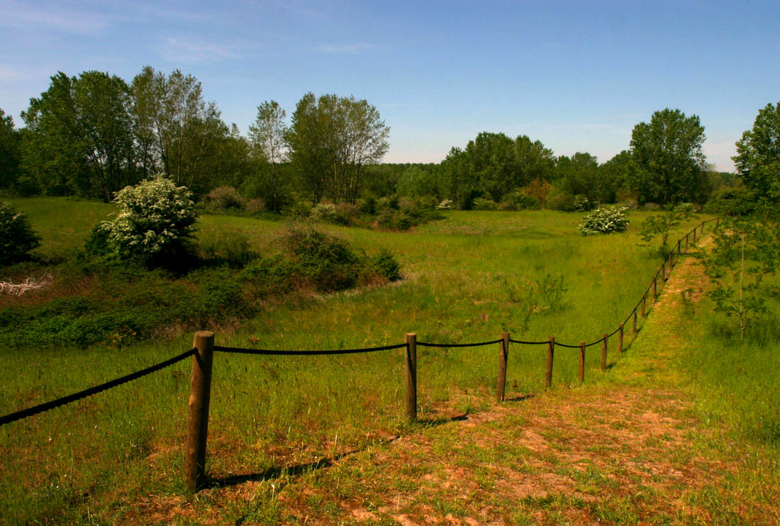 Basso Ferrarese Lungo le dune di Massenzatica © Andrea Samaritani - Archivio fotografico Provincia di Ferrara