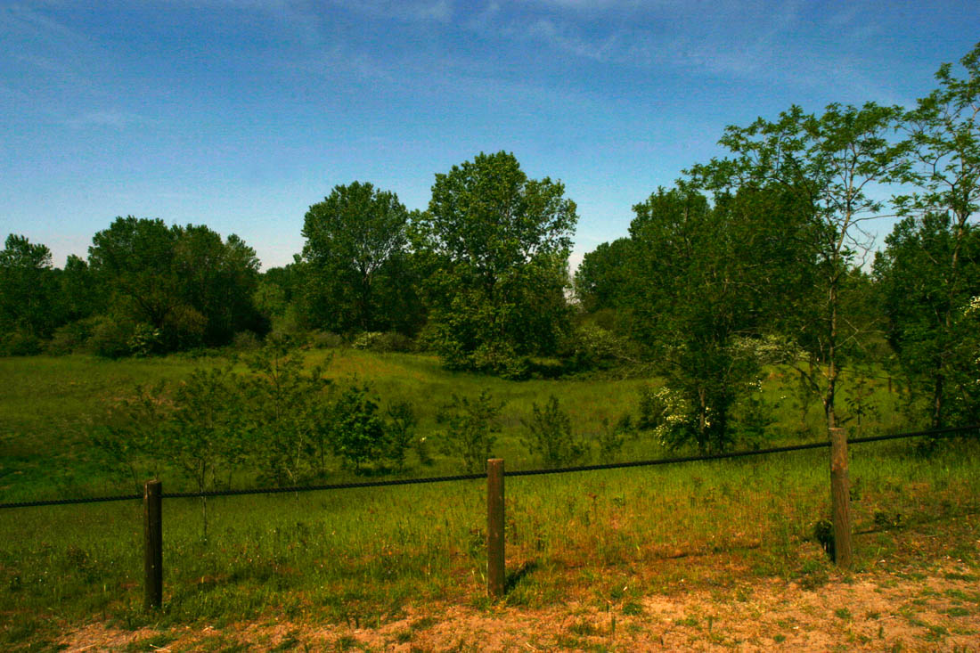 Basso Ferrarese Vista delle dune di Massenzatica © Andrea Samaritani - Archivio fotografico Provincia di Ferrara