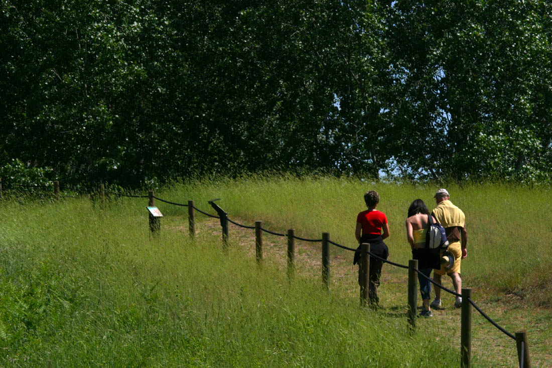 Basso Ferrarese Passeggiata tra le dune di Massenzatica © Andrea Samaritani - Archivio fotografico Provincia di Ferrara