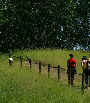 Basso Ferrarese Passeggiata tra le dune di Massenzatica © Andrea Samaritani - Archivio fotografico Provincia di Ferrara