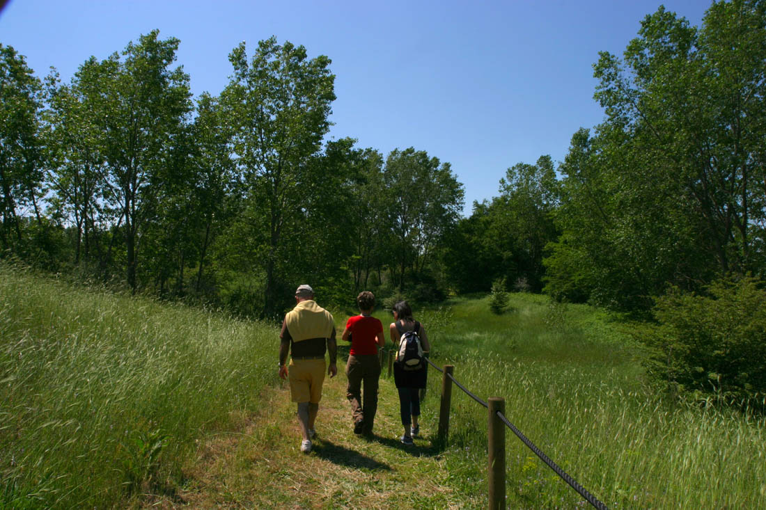 Basso Ferrarese Passeggiata tra le dune di Massenzatica © Andrea Samaritani - Archivio fotografico Provincia di Ferrara